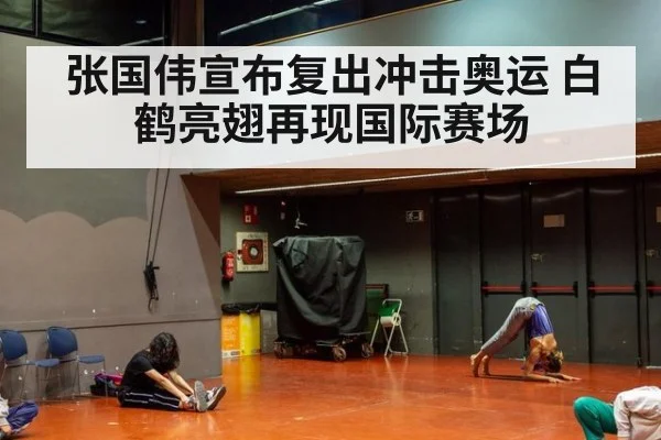 张国伟宣布复出冲击奥运 白鹤亮翅再现国际赛场